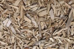biomass boilers Bruera